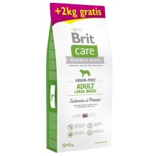 Brit Care Dog Grain-free Adult LB Salmon & Potato 12+2 kg ZADARMO