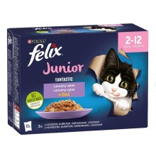 Felix Fantastic Junior Multipack masové receptúry 12x 85 g
