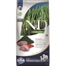 N&D Spirulina Dog Adult M/L Lamb & Wolfberry 7 kg