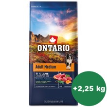 Ontario Adult Medium Lamb & Brown Rice 12 kg