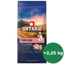 Ontario Puppy & Junior Large Chicken & Sweet Potatoes 12 kg