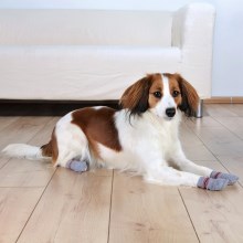 Trixie protišmykové ponožky pre psov XS-S (2 ks)