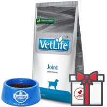 Vet Life Dog Joint 2 kg
