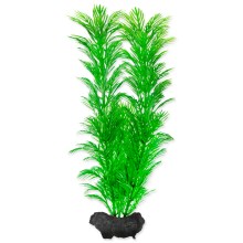 Tetra dekoratívna rastlina Green Cabomba M