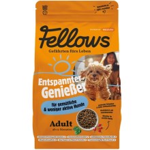 Fellows Pohodový gurmán hmyzie granule 2 kg