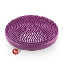 FitPaws balančná šošovka fialová 36 cm