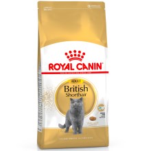 Royal Canin FBN British Shorthair Adult 10 kg