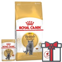Royal Canin FBN British Shorthair Adult 10 kg