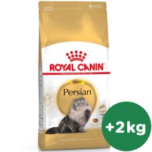 Royal Canin FBN Persian Adult 10 kg