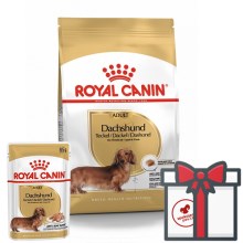Royal Canin BHN Dachshund Adult 7,5 kg