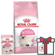 Royal Canin FHN Kitten 10 kg