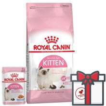 Royal Canin FHN Kitten 10 kg