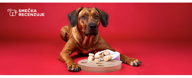 Drevená interaktivka Beeztees Giono zamotá psíkovi hlavu