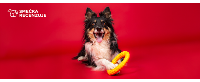 Hľadáte vhodnú hračku na lúku aj do vody? Kruh Kiwi Walker je skvelou voľbou!