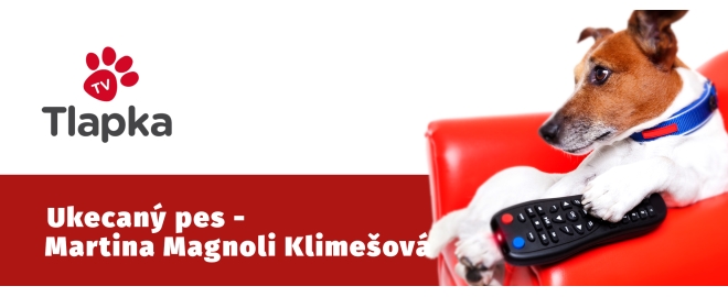 Ukecaný pes - Martina Magnoli Klimešová - Cvičenie v karanténe (Rozhovor)