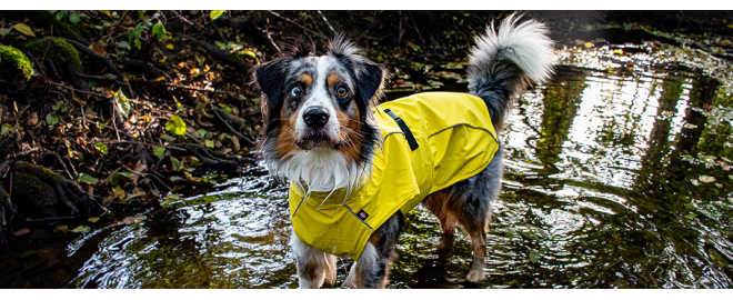 Trixie Vimy: Žiarivá pláštenka, ktorá pristane
