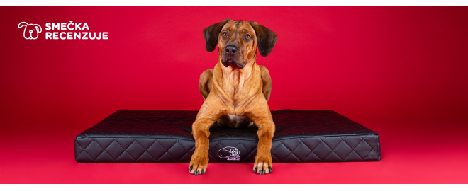 Královský odpočinek s ortopedickou matrací Anadi Royal