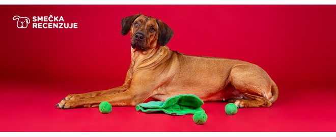 Hračka pre zvedavé psie ňufáky? DogLemi Snuffle Toy Pea Balls