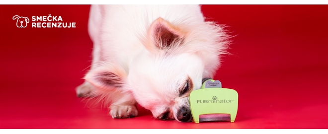 Psí kaderník doma: Hrablo Furminator Long Hair