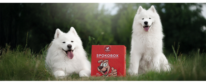 Čo ste vyčuchali v júnovom SPOKOBOXE?