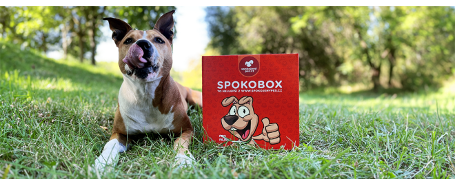 Čo ste vyčuchali v augustovom SPOKOBOXE?