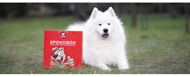 Čo ste vyčuchali vo februárovom SPOKOBOXE?