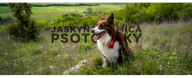 PSOTOULKA #163 – JASKYŇA DOMICA (PSÍ SPELEOLÓG)