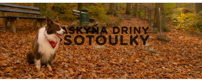 PSOTOULKA #193 – JASKYŇA DRINY (Psí speleológ)