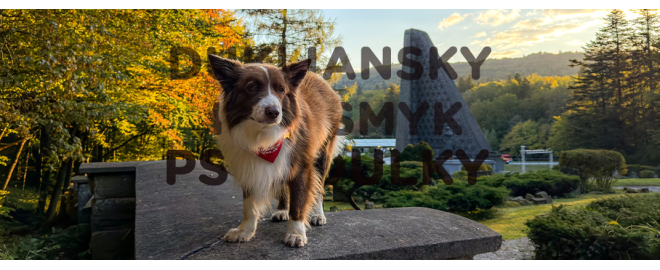 PSOTOULKA #243 – Dukliansky priesmyk (Pes historik)