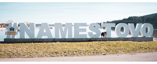 PSOTOULKA #157 – NÁMESTOVO (MESTSKÝ PRIESKUMNÍK)