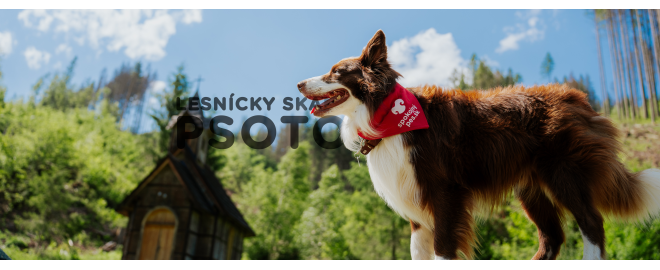 PSOTOULKA #169 – LESNÍCKY SKANZEN VYDROVO (PES ARCHITEKT)