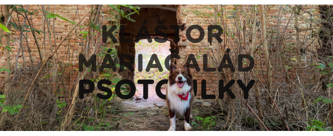 PSOTOULKA #237 – Kláštor Máriačalád (Pes historik)