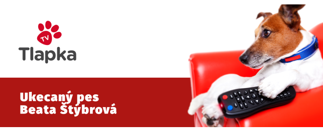 Ukecaný pes - Beata Štýbrová (rozhovor)