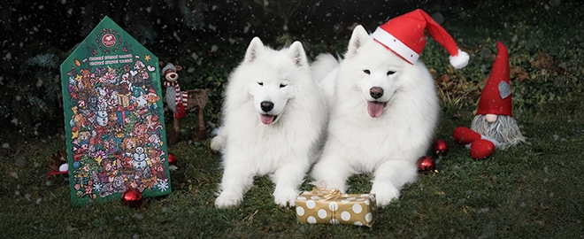 Aj psíkovia majú svoj adventný kalendár: Je plný prírodných dobrôt!