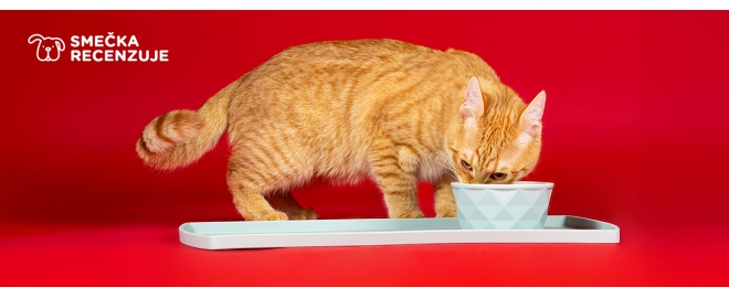 Komfort pri kŕmení vďaka miske a podložke Hunter Eiby