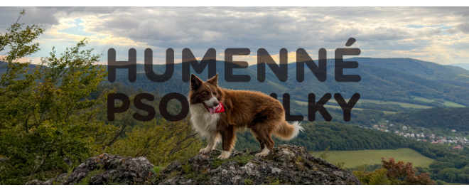PSOTOULKA #241 – Humenné (Pes mešťan)