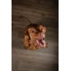 Almi Medium Adult 12 kg