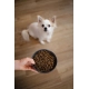 Almi Puppy & Mini Junior 3 kg