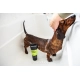 Animology Deep Clean šampón 250 ml