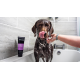 Animology Flea & Tick šampón 250 ml