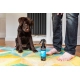 Animology Muck Pup bezoplachový šampón 250 ml
