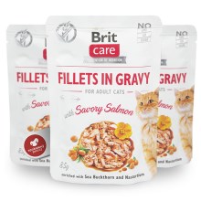 Brit Care Cat kapsička Fillets Gravy Savory Salmon 85 g