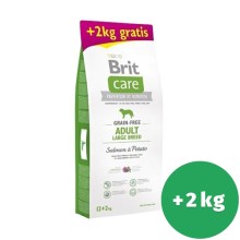 Brit Care Dog Grain-free Adult LB Salmon & Potato 12+2 kg ZADARMO