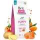 Brit Care Dog Grain-free Puppy Salmon 12 kg