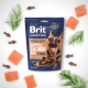 Brit Premium by Nature Snacks Salmon 180 g