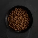 Canagan Dog Dry Country Game 2 kg