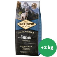 Carnilove Adult Dog Salmon 12+2 kg ZDARMA Carnilove Adult Dog Salmon 12+2 kg ZDARMA