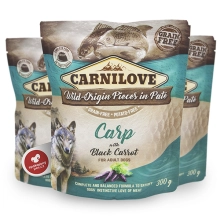 Carnilove Dog Pouch Paté Carp with Black Carrot 300 g