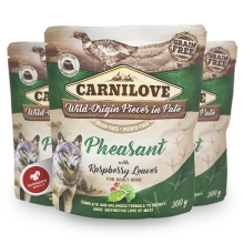 Carnilove Dog Pouch Paté Pheasant with Raspberry Leaves 300 g