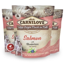 Carnilove Dog Pouch Paté Salmon with Blueberries for Puppies 300 g